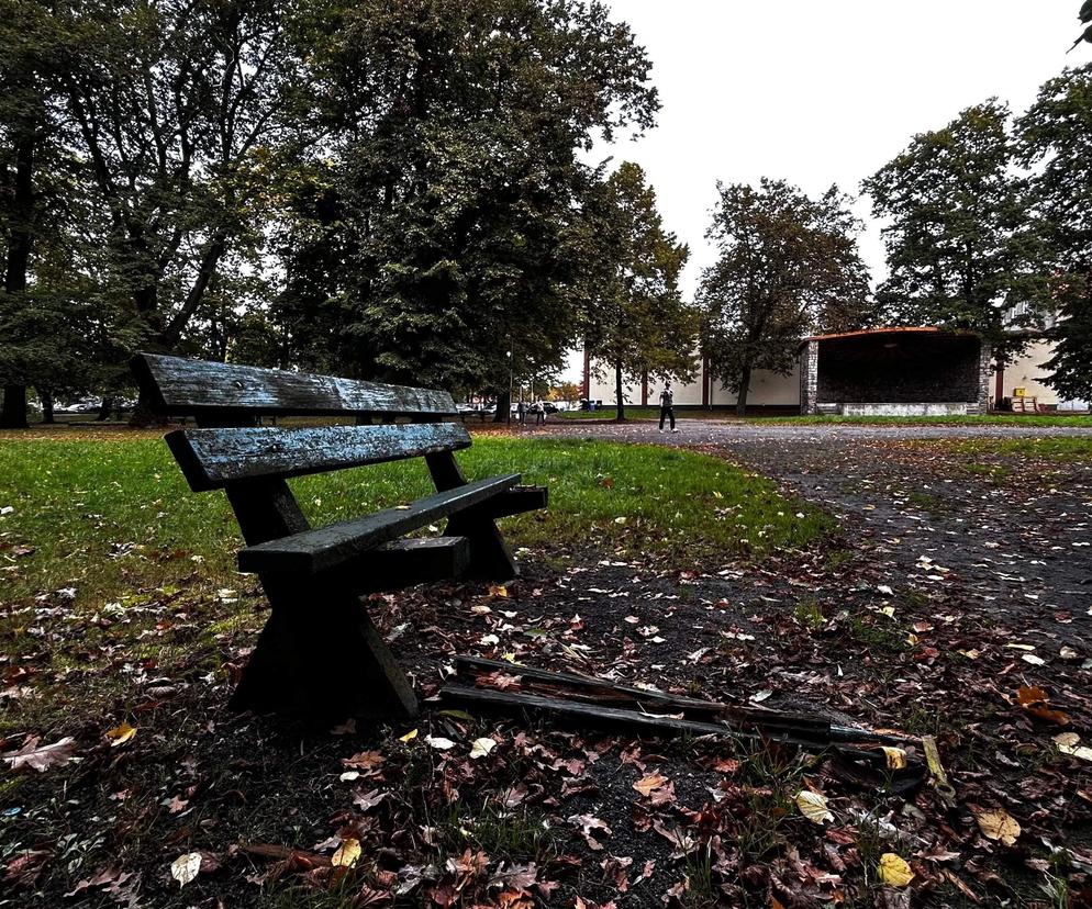 Park w Strzelcah Krajeńskich