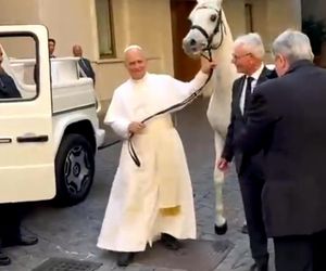 Papież Leon XIV otrzymał w środę białego konia czystej krwi arabskiej ze stadniny w Kołobrzegu-Budzistowie