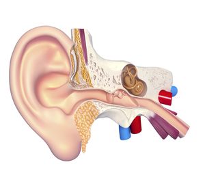 Antromastoidektomia to operacja wyrostka sutkowatego