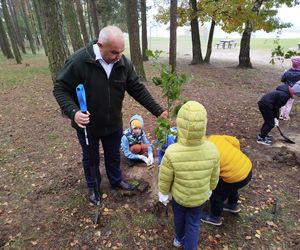 Dębowy Elektryczny Las został zasadzony nad Siedleckim zalewem w ramach programu Polska Stolica Recyklingu