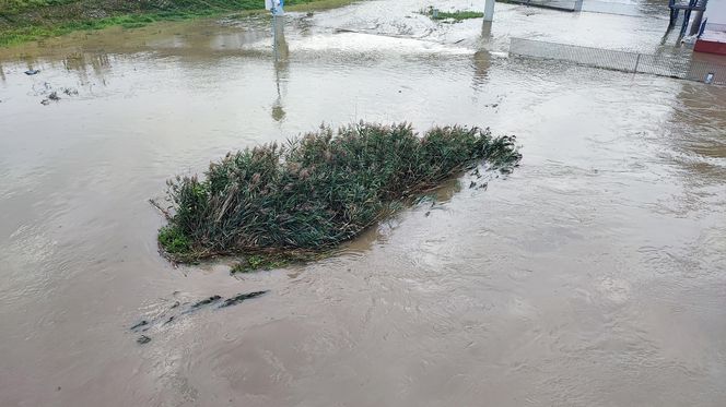 Fala powodziowa we Wrocławiu. Pod wodą są już beach bary i drogi 