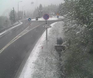 Śnieżyca w Małopolsce. Atak zimy w połowie maja!