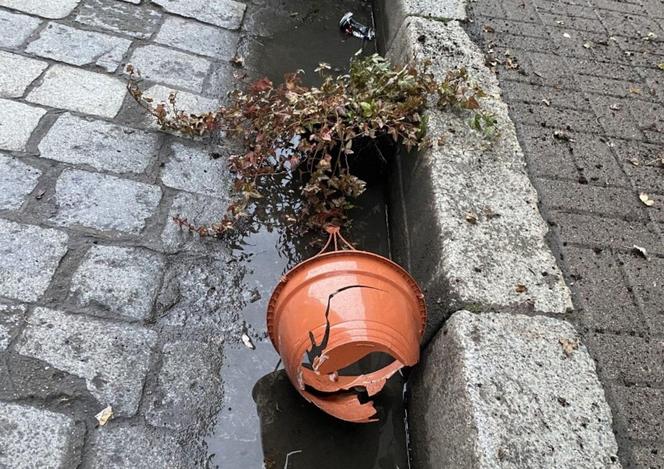 Sylwester się skończył, a kto posprząta? Centrum Wrocławia tonie w śmieciach