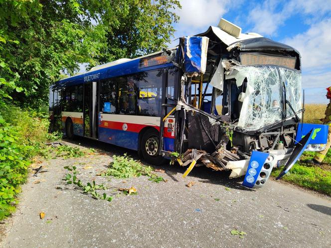 Pod Bydgoszczą autobus podmiejski uderzył w drzewo. Kilkanaście osób jest rannych!