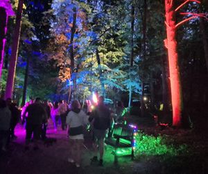 Olsztyn zamienił się w magiczną krainę. Park Świateł przyciągnął tłumy!