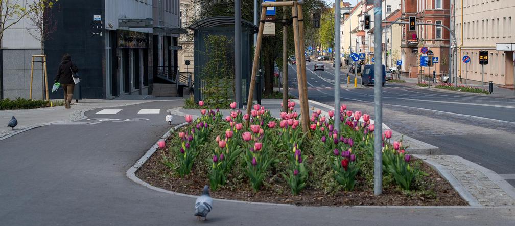 Olsztyn w wiosennym wydaniu. W mieście jest coraz piękniej