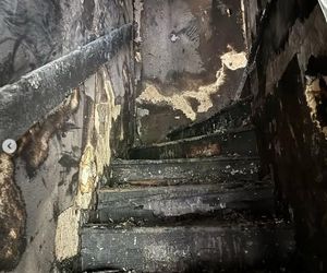 Magda Gessler prosi o pomoc