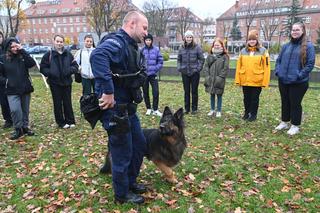 Trening psów ze studentami