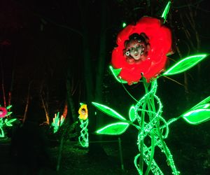 Park iluminacji w Lublinie