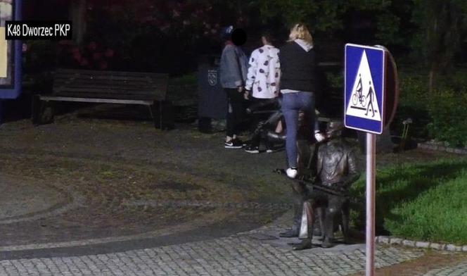 Nocne imprezowanie w Rybniku. Pijana młodzież wspinała się na pomnik, zrywała tulipany i... sikała na budynki [ZDJĘCIA]