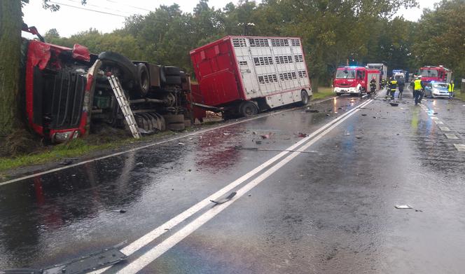 Śmiertelny wypadek na DK15. Nie żyją dwie osoby [ZDJĘCIA]