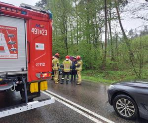 Wypadek na drodze nr 42 w Brodach. Zderzyły się dwa auta osobowe