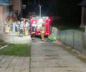 Iwo uratował rodzinę z pożaru.