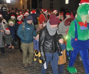 Orszak Świętego Mikołaja i choinka w Rynku w Kielcach