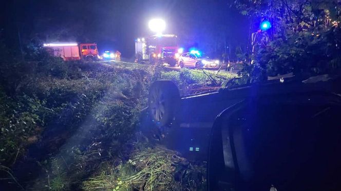 Śmiertelny wypadek pod Zgorzelcem. Kierujący osobówką zginął, dziecko zostało ranne [ZDJĘCIA]