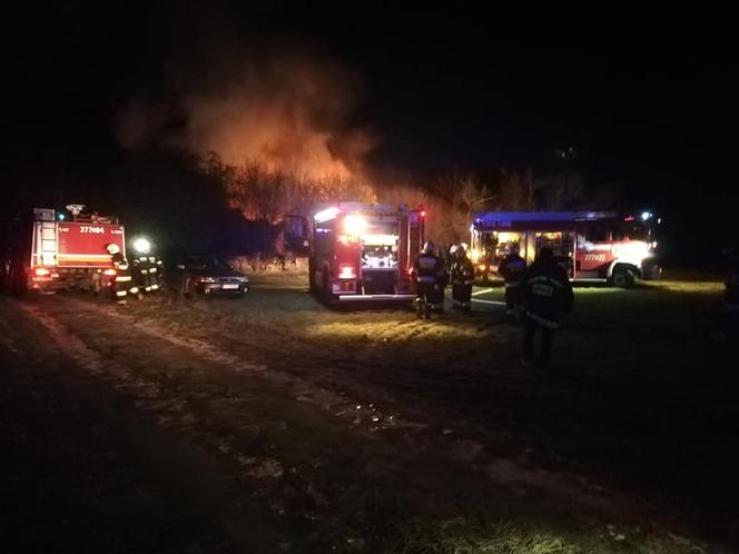 DRAMAT w Zalasowej. Gospodarz stracił w pożarze materiały na remont domu [ZDJĘCIA]