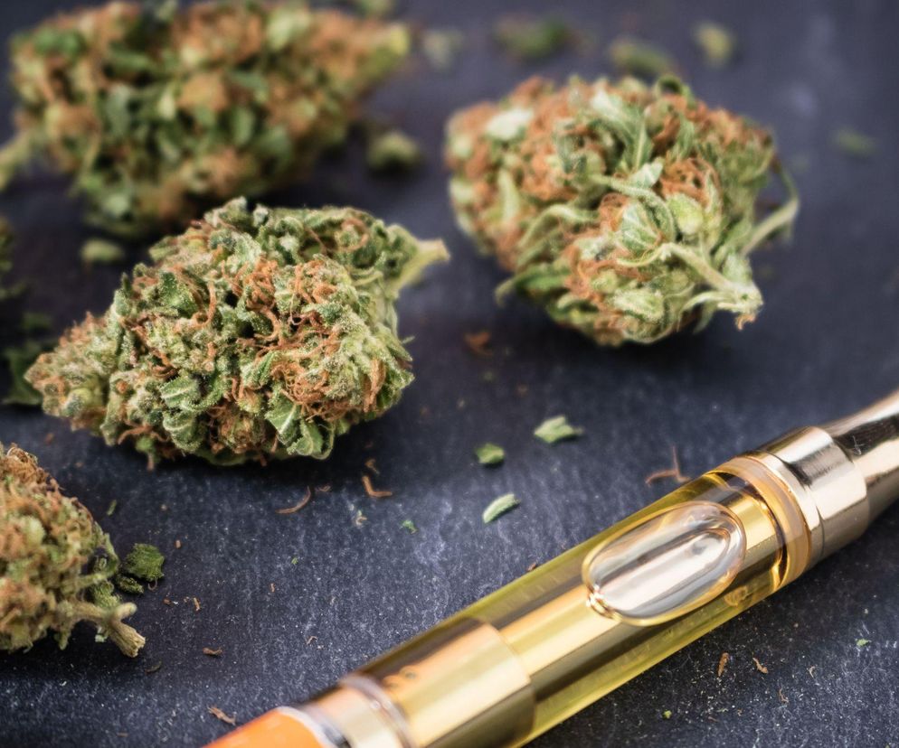 Program legalizacji marihuany. Tuż za granicą Polski szykuje się rewolucja