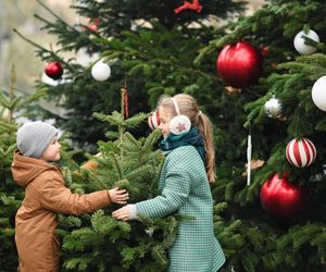 Drzewka last minute będą czekać na tych, którzy pomogą futrzakom