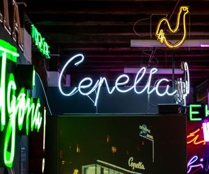 Neony z Muzeum Neonów w Warszawie