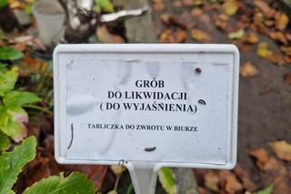 Tysiące grobów do likwidacji! Szok i oburzenie na cmentarzach. Zapłacę z pieniędzy odłożonych na własny pogrzeb