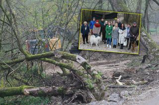 Mieli wyciąć tylko kilka chorych drzew, a przetrzebili kawałek lasu. Mieszkańcy apelują