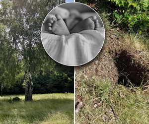Zwłoki noworodka zakopane na polanie. Nowe ustalenia