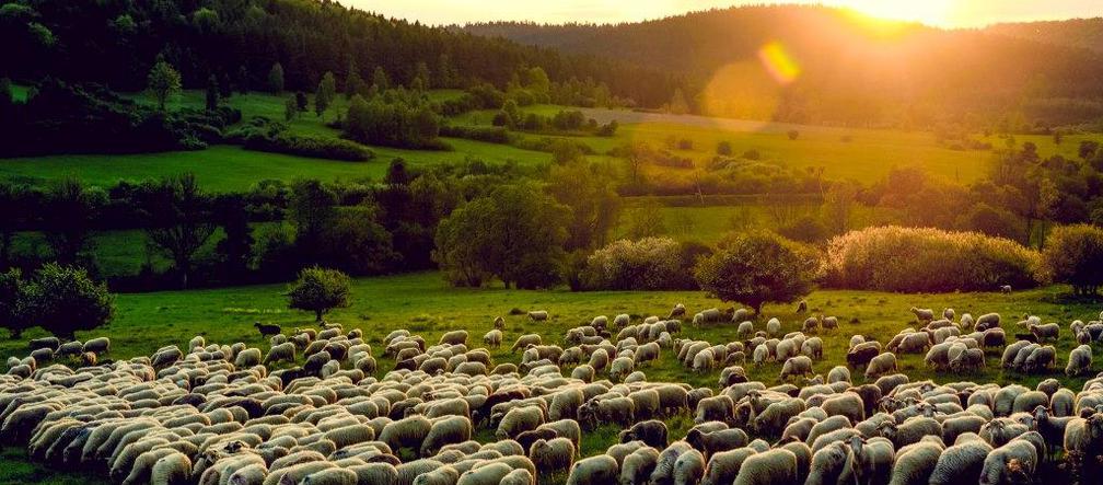 Podkarpacka Regionalna Organizacja Turystyczna wybrała najpiękniejsze letnie fotografie z naszego regionu