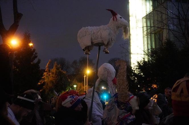 Podkoziołek 2025. Kolorowy pochód w Poznaniu