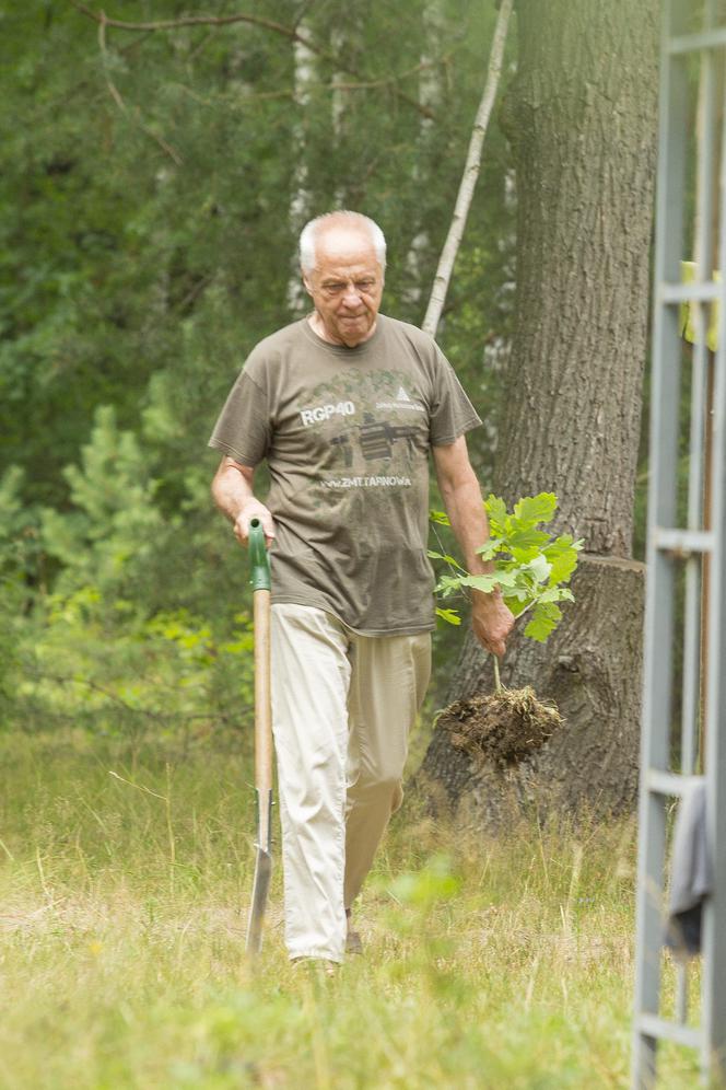 Stefan domator rąbie drzewa