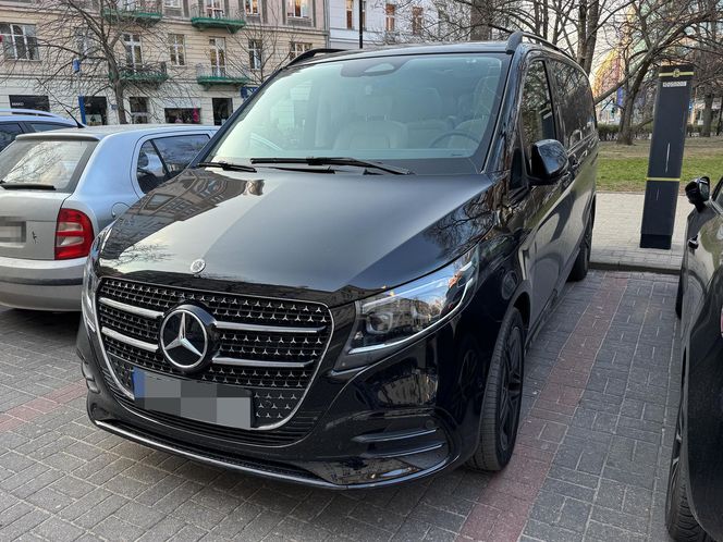 Ibisz powiększa rodzinę