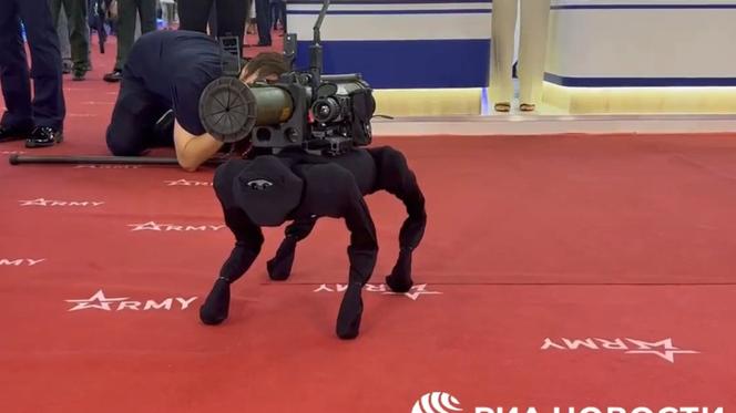 Rosyjski pies-robot miał się przysłużyć armii, a okazał się chińską zabawką. Można go kupić na AliExpress