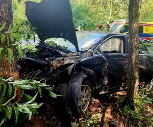19-latek chciał ominąć sarnę, rozbił auto na drzewie. Poważny wypadek w Sosnowicy