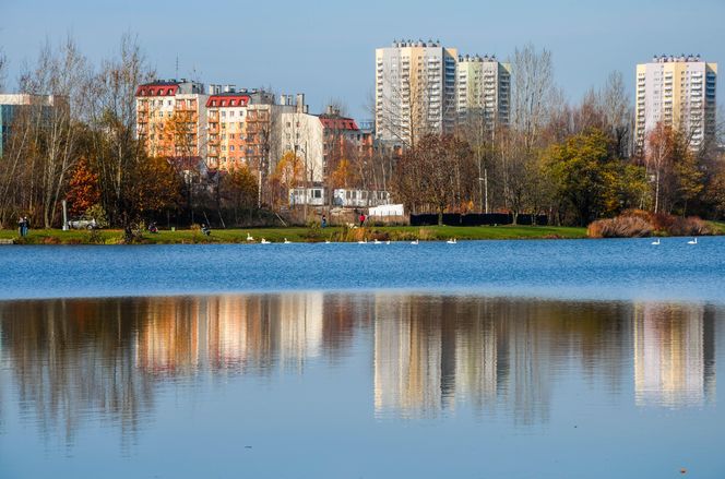 10. Dolina Trzech Stawów w Katowicach