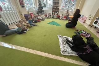 Dogoterapia w Łodzi