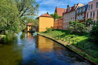 Zachwycające rzeźby Jerzego Kędziory balansują nad miastem. W Bydgoszczy trwa niecodzienna wystawa