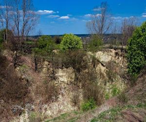 Burmistrza Wąchocka Jarosława Sameli - pasja fotografowanie