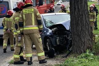 Wypadek samochodowy w Sosnowcu. Kierowca w ciężkim stanie trafił do szpitala
