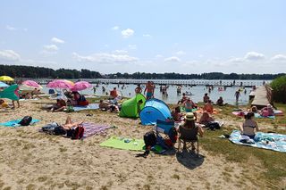 To najpiękniejsze jezioro w woj. lubelskim według AI! 