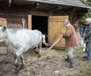 Jak dobrze znasz bohaterów serialu? Sprawdź się w naszym QUIZIE