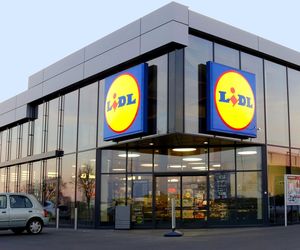 Lidl świętuje Światowy Dzień Lodów! 