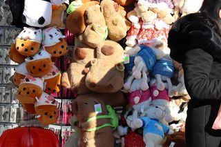 Pluszak kapibara w Zakopanem