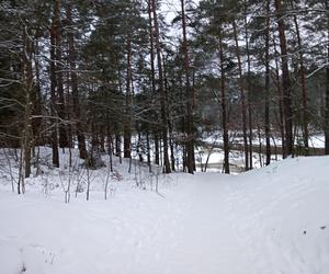 Zimowe krajobrazy na pograniczu Skarżyska i Suchedniowa
