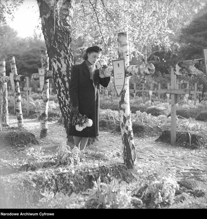 Cmentarze Powązkowskie - 1946-1963