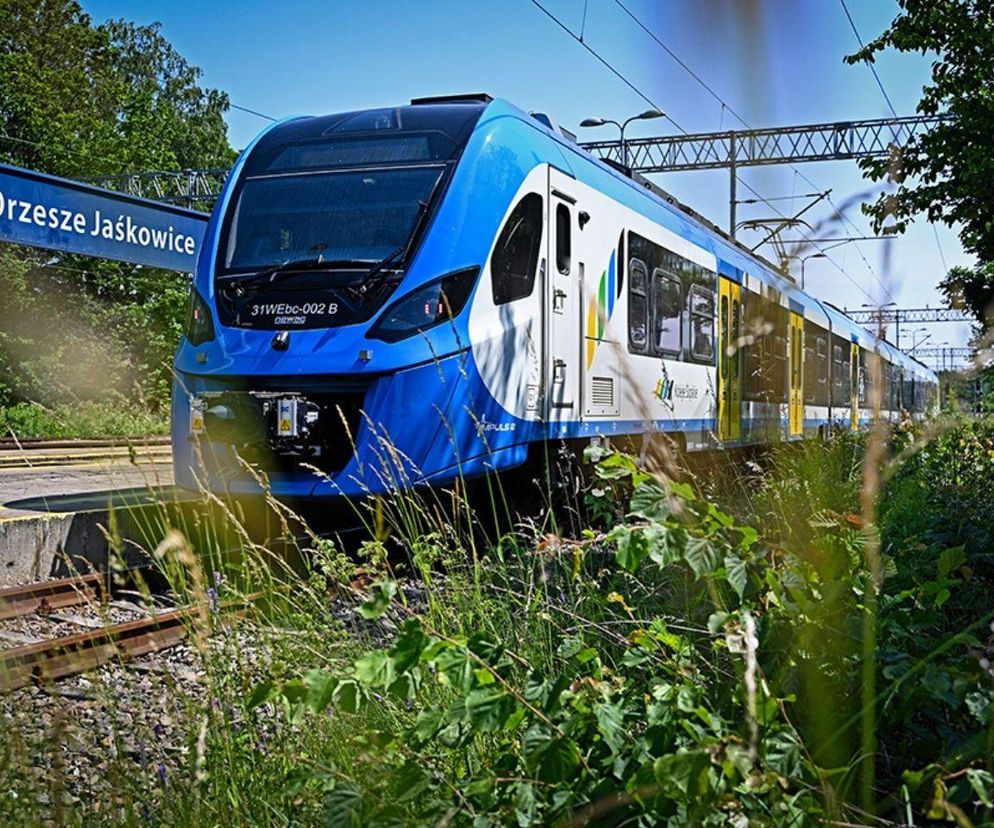 Sukces nowej trasy Kolei Śląskich