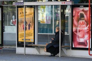 Katarzyna Warnke pociesza się po rozwodzie