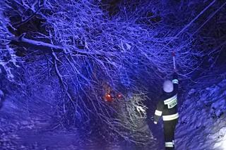 Ponad 300 interwencji strażaków w Tarnowie i regionie