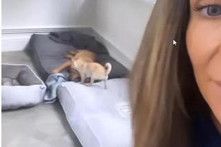 Małgorzata Rozenek nie płaci za dom 