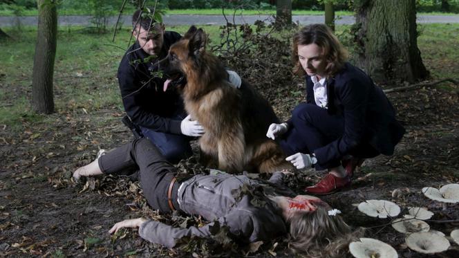 Komisarz Alex 8 sezon odc. 95. Marta Grabska (Beata Fido), Michał Orlicz (Antoni Pawlicki)