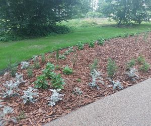 Park im. Szafera w Rzeszowie 