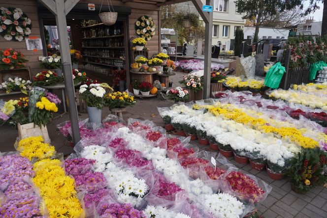 Ceny zniczy i kwiatów pod Cmentarzem Centralnym w Szczecinie